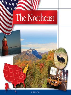 cover image of The Northeast